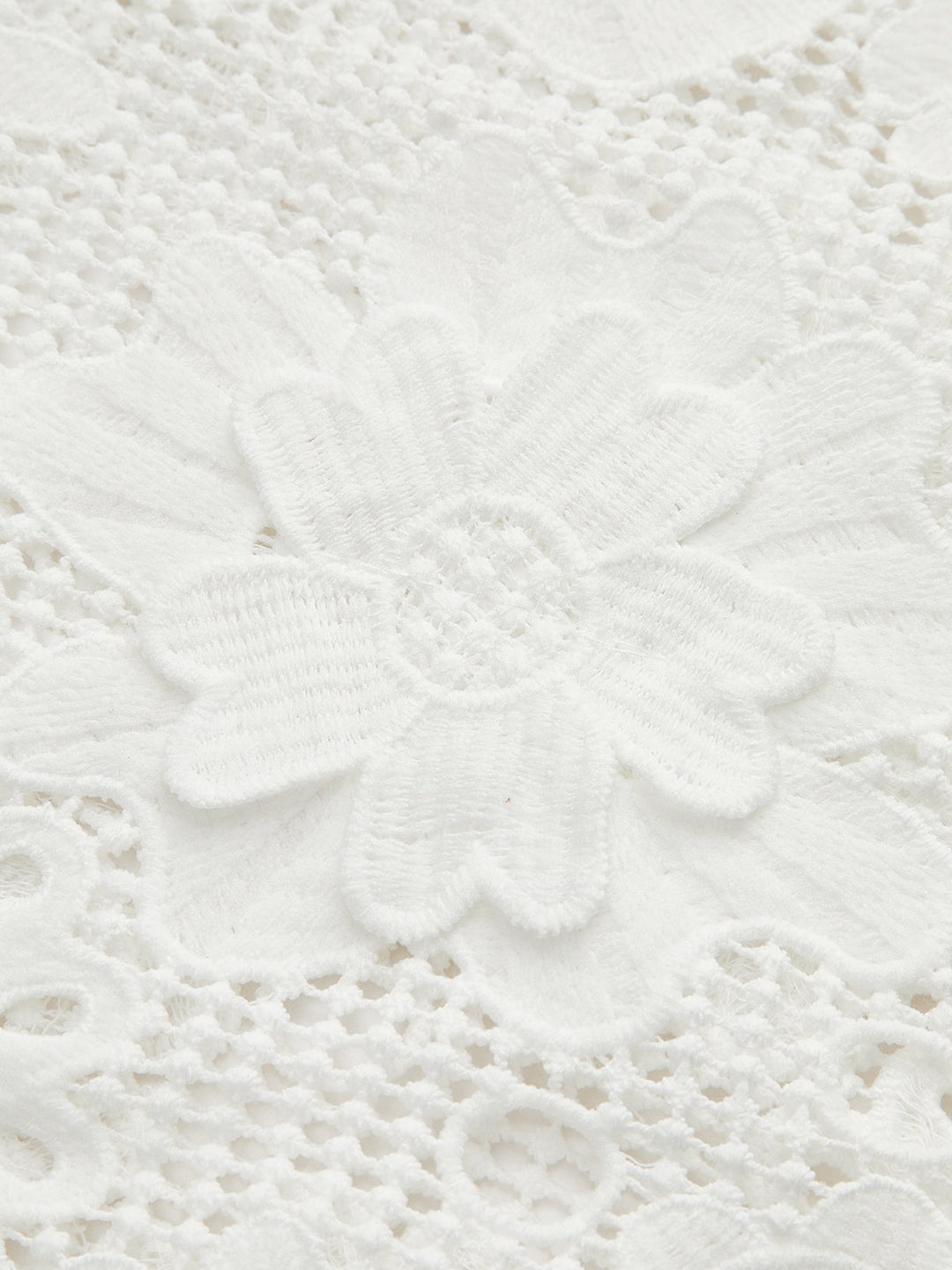 Semi Sheer 3D Flowers Mini Dress