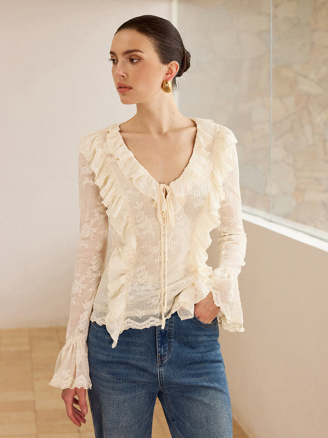 Semi-Sheer Lace Ruffle Trim V-Neck Blouse