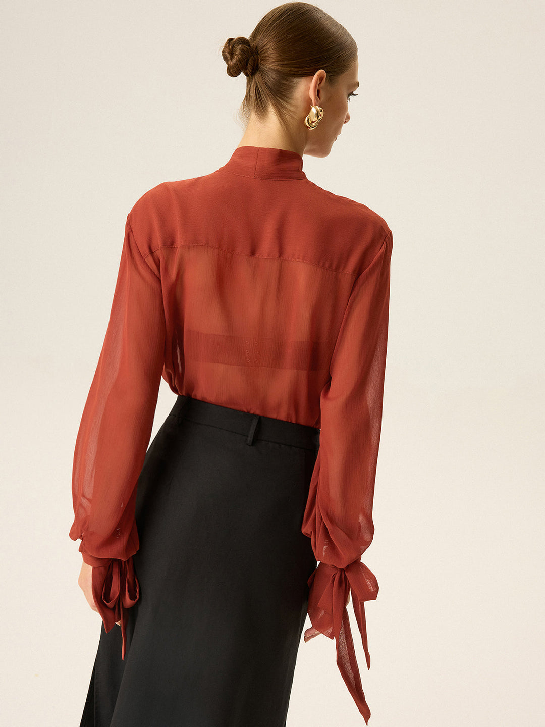 Semi-Sheer Chiffon Tie Neck Blouse