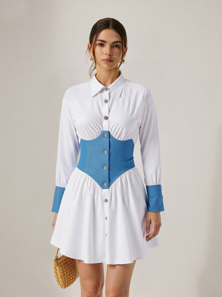 Contrast Panel Button Shirt Dress