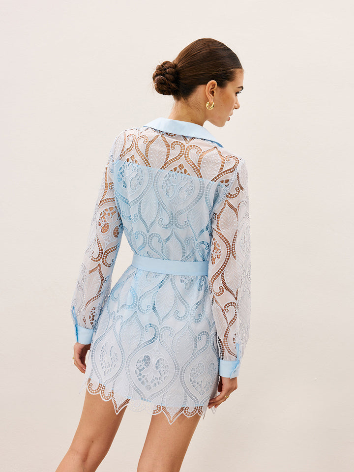 2 in 1 Sheer Lace Mini Dress